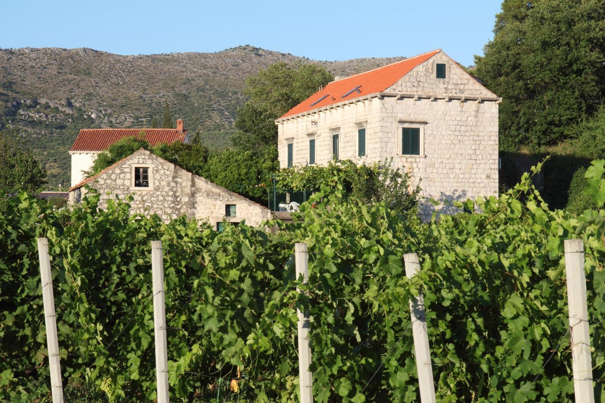 Villa Violic Zaton  Exterior photo