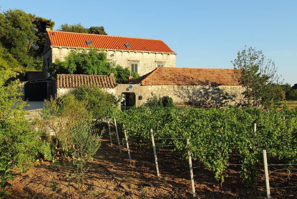 Villa Violic Zaton  Exterior photo